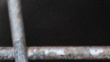 Los dos perros se encuentran actualmente bajo custodia de los Servicios para Animales del Condado de Multnomah.