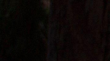 DOMINICAN REP-HEALTH-VIRUS