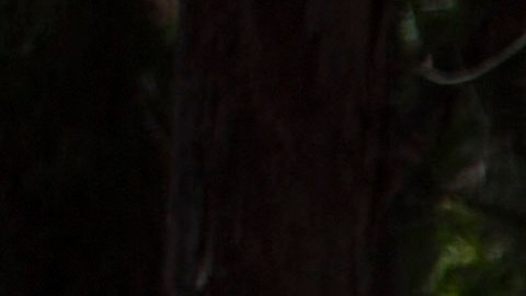 DOMINICAN REP-HEALTH-VIRUS