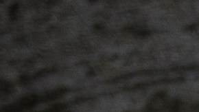 La joven se fue con unos amigos, quienes regresaron en agosto de 1979, y le dijeron a su familia que la habían dejado en Las Vegas.