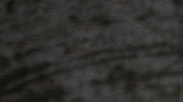 La joven se fue con unos amigos, quienes regresaron en agosto de 1979, y le dijeron a su familia que la habían dejado en Las Vegas.