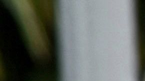 Migrantes en Tapachula