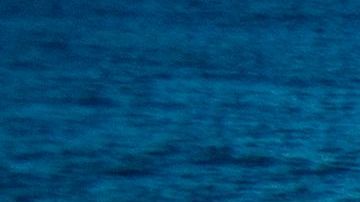 Un turista describió al tiburón como un animal de "15 pies de largo".