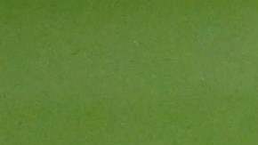 "No había conexión": ‘Chucky’ Lozano confesó a Hugo Sánchez los problemas con Tata Martino en la selección