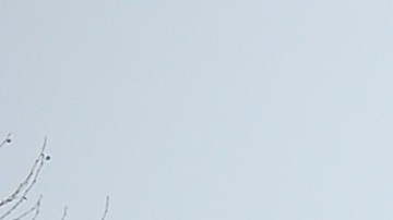 Nevada en Nueva York