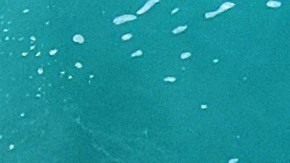 La mujer practicaba paddle boarding cando fue atacada por un tiburón en las Bahamas.