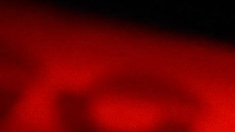 Los investigadores han recabado evidencia física, incluyendo fotos y videos, esperando identificar al posible sospechoso masculino.
