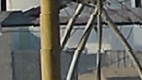 PAKISTAN-POLITICS-MUSHARRAF