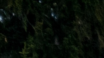 Environmental And Health Concerns Grow In East Palestine, Ohio After Derailment Of Train Cars Containing Hazardous Material