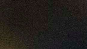 El entrenador de los Tigres sueña con poder alcanzar el bicampeonato.