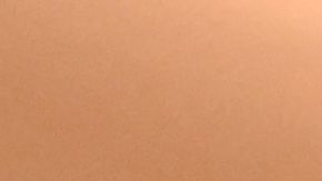 Suki Waterhouse y Robert Pattinson