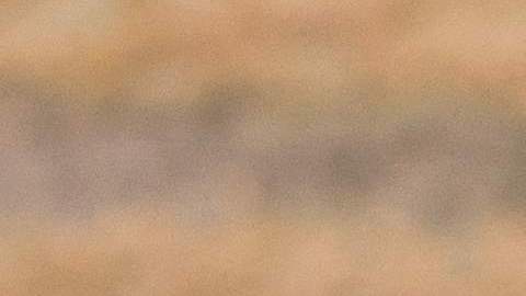 La investigación ha confirmado que la misma cepa genética de la bacteria ha causado un brote de salmonela en Estados Unidos.