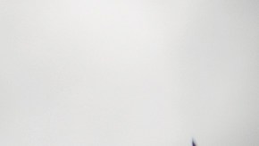 Rusia busca homenajear a los "prorrusos ucranianos".