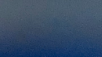 Fernando Gago, entrenador del Chivas de Guadalajara.