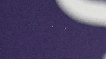 Pep Guardiola posa con la última Premier League que ganó en 2023.