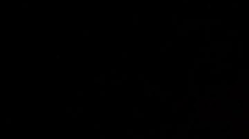 Bob Dylan siempre ha confesado su profundo amor a Escocia.