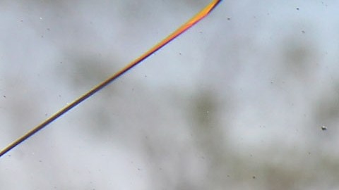 Tiroteo al autobús oficial de un equipo de Nigeria dejó "varios jugadores seriamente heridos"