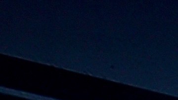 Abby Champion y Patrick Schwarzenegger