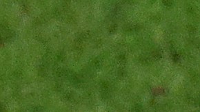 Lionel Messi celebrando un gol antePaíses Bajos en la Copa del Mundo.