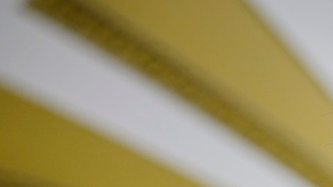 El líder del Senado, Chuck Schumer, enfrenta críticas por no incluir a congresistas hispanos en negociaciones migratorias.