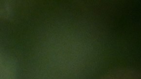 Hunter Biden Goes To Court To Plead Guilty To Tax Violations