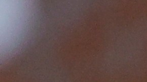 Atlanta Braves busca juntar a Ronald Acuña Jr con Shohei Ohtani para la temporada 2024 de MLB