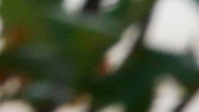 El hijo de Biden, de 53 años, está ya imputado por tres cargos relacionados con la compra y posesión de armas.