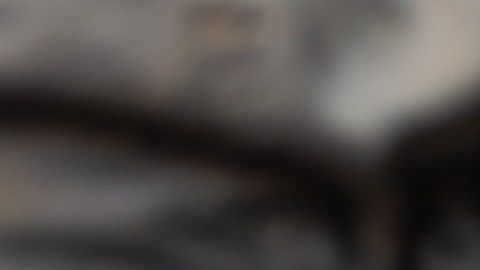 Las autoridades cuentan con 214 sitios para alojar migrantes, incluidos 18 centros de ayuda humanitaria.