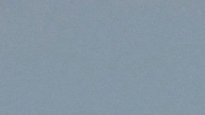 La ballena fue filmada "nadando" con varios bañistas antes de morir.