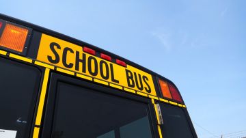 Condenaron a exconductor de autobús escolar en Florida por recibir material de abuso sexual infantil