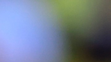 Marcelo Bielsa visitó estadio en Uruguay para observar juego de la liga local [Video]