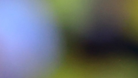 Marcelo Bielsa visitó estadio en Uruguay para observar juego de la liga local [Video]