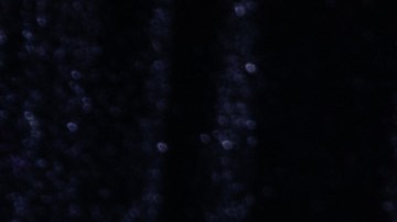 Offset y Cardi B salieron de la propiedad sin avisar.