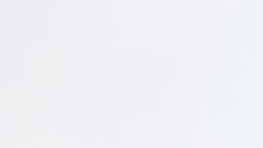 Houston Dynamo, vigente campeón de la U.S. Open Cup podría quedarse sin defender su título en 2024.