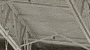 Retiran casi 5 millones de licuadoras portátiles BlendJet 2.