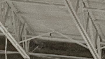 Retiran casi 5 millones de licuadoras portátiles BlendJet 2.