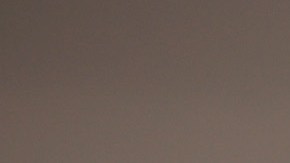 Chance Comanche en el "media day" de los Sacramento Kings.