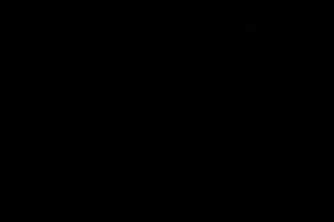 Bad Bunny actuando en un show.