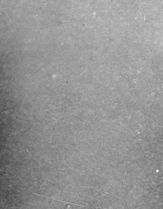 Retrato de estudio del futuro director de un estudio de cine estadounidense Walt Disney (1901 - 1966) cuando era un bebé, sentado en una silla ornamentada, alrededor de 1902. (Foto de Hulton Archive/Getty Images)