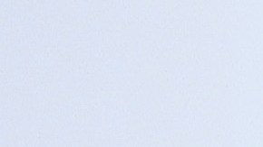 El delantero de los Pumas afirmó que a pesar de su deseo de seguir con los Pumas nadie tiene su puesto asegurado.