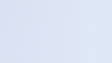 El delantero de los Pumas afirmó que a pesar de su deseo de seguir con los Pumas nadie tiene su puesto asegurado.