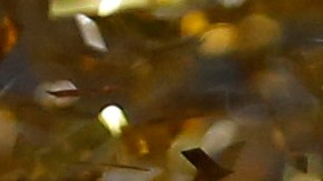 FIFA negó la solicitud para que equipos de México disputen la Copa Libertadores 2024