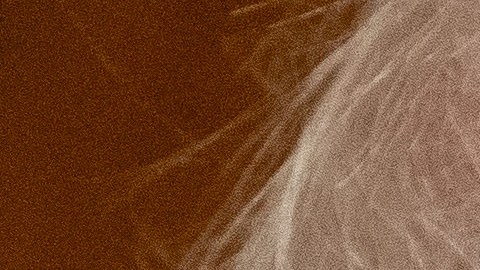 El progresista sigue presionando a la administración Biden para que no apruebe los recursos en ayuda militar a Israel.