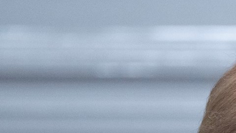 Casi 60% de estadounidenses desaprueba gestión de Joe Biden en el conflicto entre Israel y Hamás