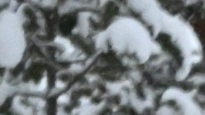 Frontera Rusa con Finlandia.