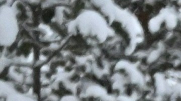 Frontera Rusa con Finlandia.