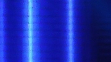 Concursantes de Miss Universo modelando.