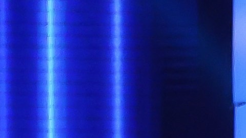 Concursantes de Miss Universo modelando.