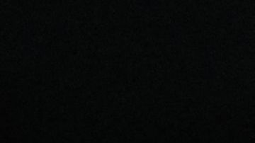 Revelan la cara negativa de trabajar con Djokovic: "No es fácil lidiar con él cuando está perdiendo"