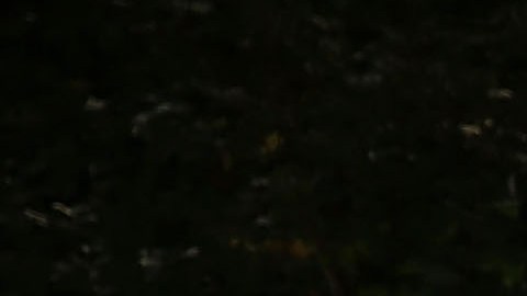 Los estadounidenses sin hogar, que corren peligro a situaciones de violencia y criminalización, aumentó.